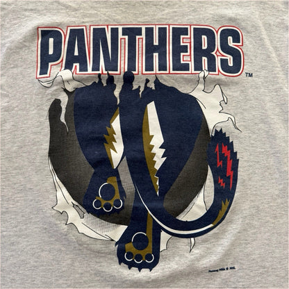Vintage Nutmeg NHL Florida Panthers Breakthrough Hockey Shirt Mens XL