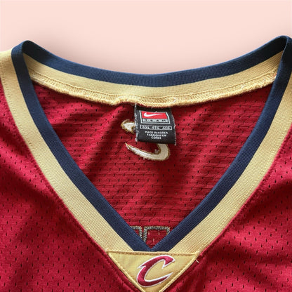 Nike NBA Cleveland Cavaliers LeBron James Basketball Jersey Mens 4XL
