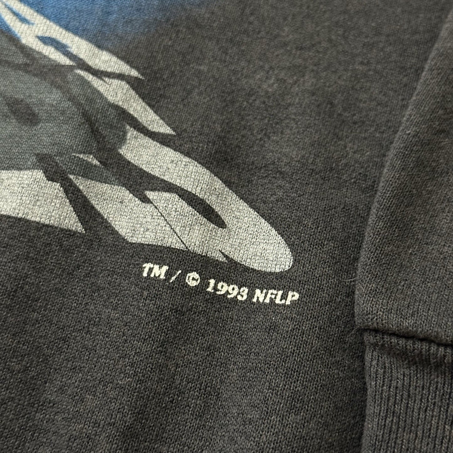 Vintage 1993 Nutmeg NFL Carolina Panthers Football Sweatshirt Mens Large
