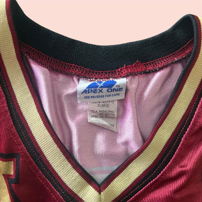 Vintage 90s Apex One Minnesota Golden Gophers College Football Jersey Mens XL